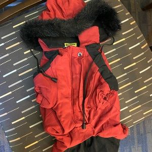 Dickens Dog Winter Jacket